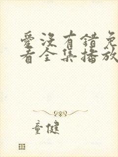 爱没有错免费观看全集播放