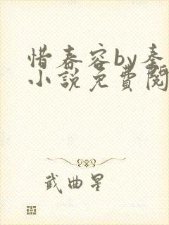 惜春容by秦染小说免费阅读全文