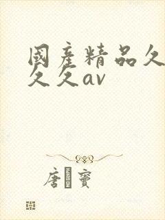 国产精品久久久久久av