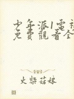 少年派1电视剧免费观看全集完整版