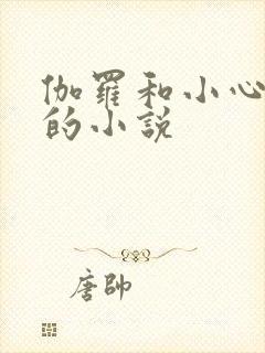 伽罗和小心超人的小说