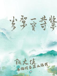 小智一共收服了多少宝可梦