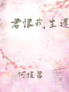 君恨我生迟短剧