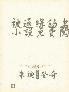 被通缉的名侦探小说免费阅读