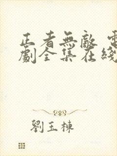 正者无敌 电视剧全集在线看