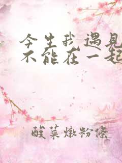 今生我遇见你却不能在一起是什么歌
