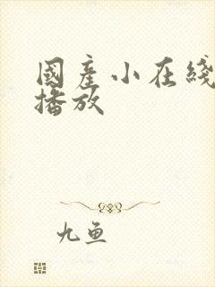 国产小在线av播放