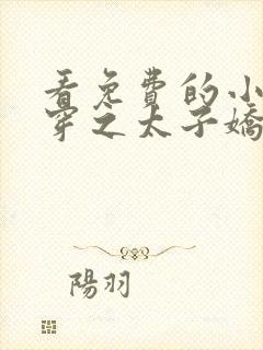 看免费的小说清穿之太子娇妃