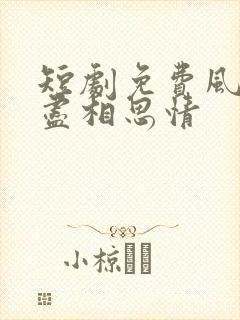 短剧免费风雪无尽相思情