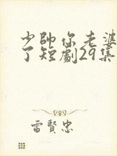 少帅你老婆又跑了短剧29集