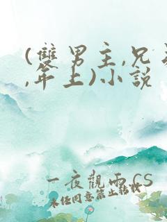 (双男主,兄弟,年上)小说