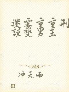 迷雾重重刑侦小说双男主