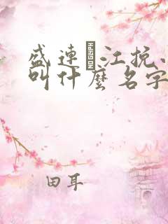 盛连玦江挽小说叫什么名字