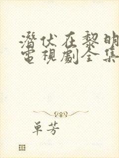 潜伏在黎明之前电视剧全集剧情介绍