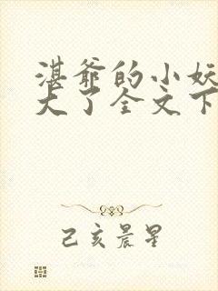 湛爷的小妖精长大了全文下载