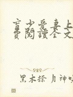 盲少爱妻上瘾免费阅读全文