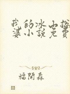 我的冰山总裁老婆小说免费阅读
