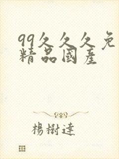 99久久久免费精品国产