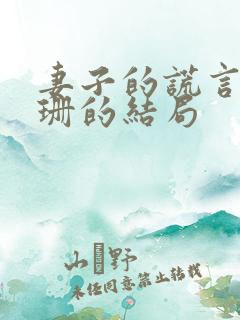 妻子的谎言江一珊的结局