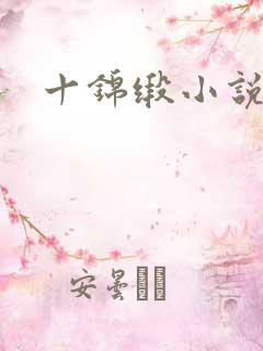 十锦缎小说