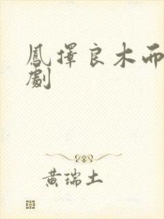 凤择良木而栖短剧