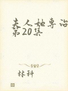 夫人她专治不服第20集