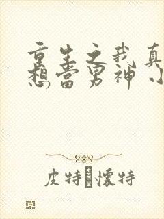 重生之我真的没想当男神 小说