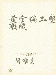 黄金矿工双人版联机