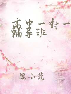 高中一对一地理辅导班