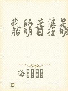 我的老婆是双胞胎明日复明日