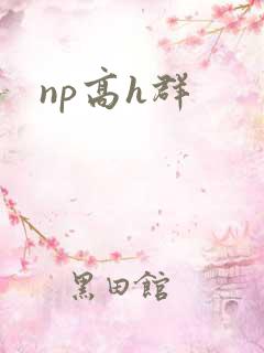 np高h群