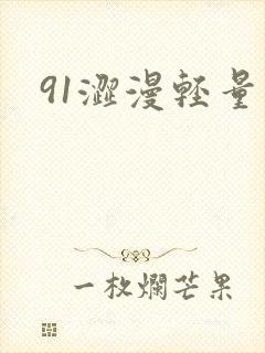 91涩漫轻量版