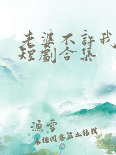 老婆不许我低调短剧合集