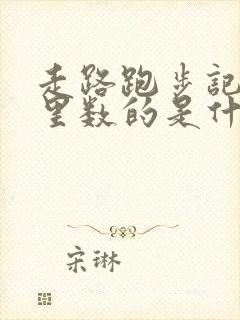 走路跑步记录公里数的是什么软件