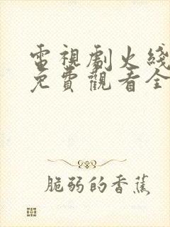 电视剧火线姐妹免费观看全集高清