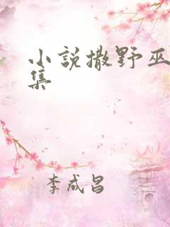 小说撒野巫哲全集