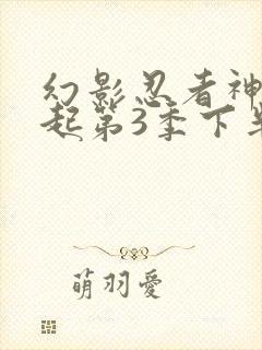 幻影忍者神龙崛起第3季下半部