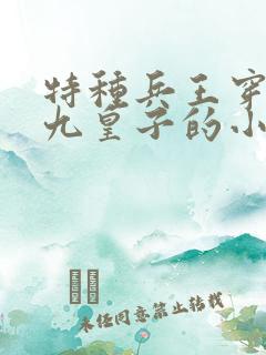 特种兵王穿越成九皇子的小说