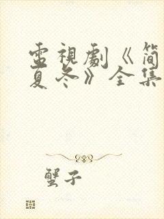 电视剧《简言的夏冬》全集免费观看