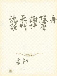 沈禾谢隐舟的小说叫什么