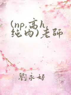 (np,高h,纯肉)老师