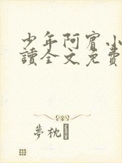 少年阿宾小说阅读全文免费无删减