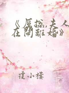 《厉总,夫人又在闹离婚》小说