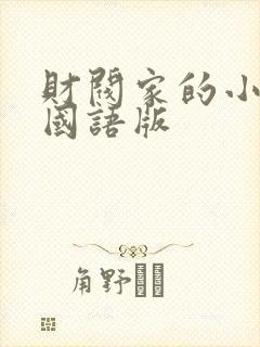 财阀家的小儿子国语版