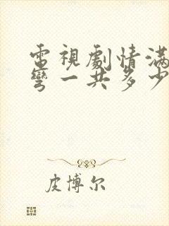 电视剧情满九道弯一共多少集