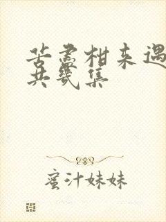 苦尽柑来遇见你共几集