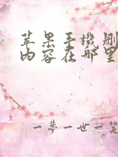 苹果手机删除的内容在哪里找