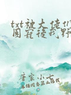 txt被大佬们团宠后我野翻了