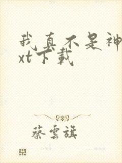 我真不是神仙txt下载