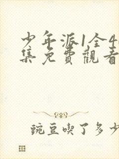少年派1全40集免费观看完整版高清